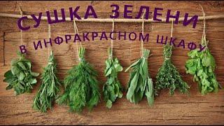 ≋Сушка зелени. ИНФРАКРАСНОЕ ОБОРУДОВАНИЕ ДЛЯ СУШКИ ЗЕЛЕНИ - УкрСушка