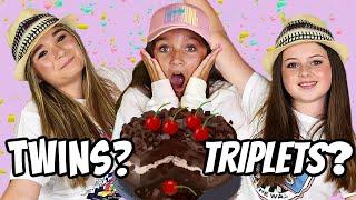 TWIN TELEPATHY CAKE CHALLENGE! (Best Twin Wins...?) w/ Wild Adventure Girls