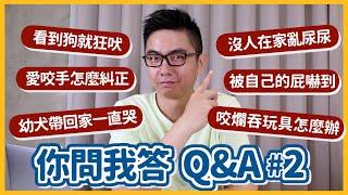 【問答Q&A#2】幼犬帶回家一直哭！愛咬手怎麼糾正？咬爛吞玩具怎麼辦？｜熊爸估狗