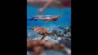 BIKINI UNDERWATER SHOOTING 2023 - SWIMWEAR - OCEAN- TRIP- MALDIVES- RESORTS #shortvideo, #shorts,