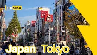 Tokyo, Japan 4K Walk – Stunning Cityscapes and Street Life | Urban Walks 4K