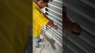 Termite Control Malaysia - Zip Pest Solutions