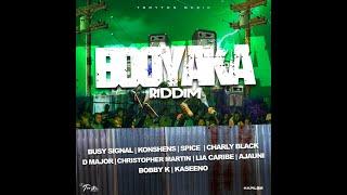 D-Major - My Money (Booyaka Riddim)