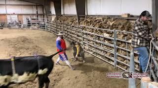 Bull Riding Clinic Rides - 2/15/25