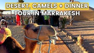 Worth the HYPE? Agafay Desert Sunset, Camel Ride, and Dinner Tour from Marrakesh, Morocco - Day trip