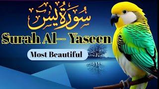 Surah Yasin (Yaseen) Full | سورۃ یس Surah Yasin Full | تلاوة رائعة لسورة يس | Beautiful Quran 