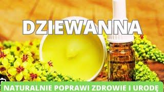 Dziewanna - naturalnie poprawi twoje zdrowie i urodę. Właściwości i zastosowanie.