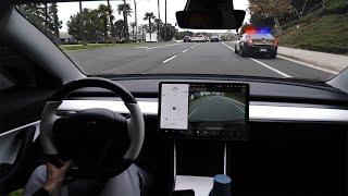 POV Drive In A Tesla Model 3