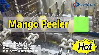 Automatic Mango Peeler Machine