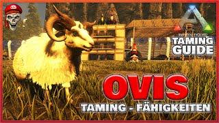  ARK TAMING GUIDE  OVIS zähmen + Fähigkeiten | ARK: Survival Evolved | #Doctendo