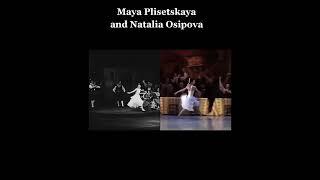 Osipova is probably the closest in energy to Plisetskaya ️ here in Laurencia