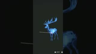 One Tapping A Gold Red Deer In The Heart  | theHunter: Call of the Wild