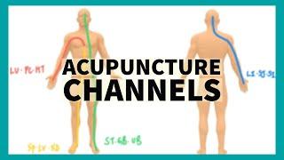 TCM Anatomy: System of Acupuncture Channels