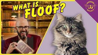 What is FLOOF? | Cat Daddy Dictionary