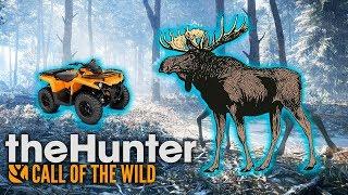 СИБИРСКАЯ ЯЗВА И ЖАРКАЯ ОХОТА - The Hunter: Call of the Wild #6