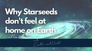 Why Starseeds Don't Feel At Home on Earth