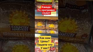 Канада. Цены на хлеб