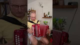 Šapnagių Polka Armonika.
