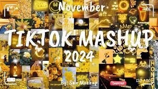 Tiktok Mashup November 2024 (Not Clean)