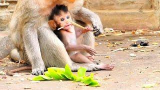 Wow Really Beautiful Little Baby Elon Enjoy to playing near Mom Emila.