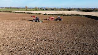 FINALLY PlANTING THE BEANS!