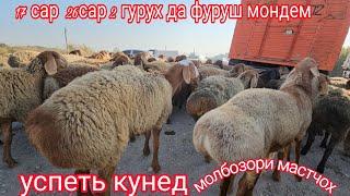 стоп фурухта шудан