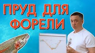 Пруд для форели. Как правильно построить пруд для форели