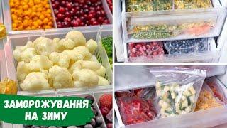 Freezing vegetables, fruits, mixtures for the winter