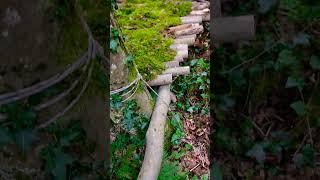 Extremer Steilhang so schaffst du es am Steilhang zu übernachten #survival #bushcraft #tricks