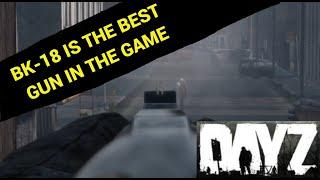 The BK-18 IS A BEAST | DayZ Notable Moments | EP6