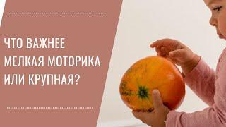 Мелкая или крупная моторика, что важно для развития ребенка и что за что отвечает?