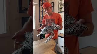Tortue en pièce de vélos recyclés / metal art par Shoodrik île de Ré