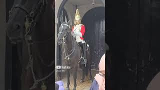 Clips that will make you cry with  happiness #royalguards