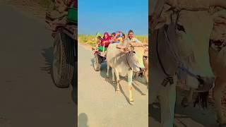 kon disha mai lake chla re batorya #tranding #tranding #vlog #funny #villagelife