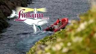 Linkum Tours - Zodiac Boat Tours