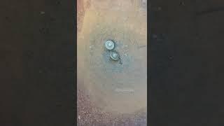 METAL BEYBLADE VRINDAVAN#shorts