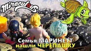 СЕМЬЯ Маринетт и Адриана нашли ЧЕРЕПАШКУ!