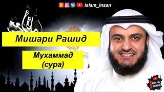 Мишари Рашид Сура Мухаммад