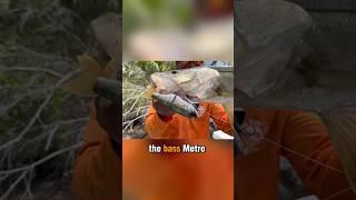 SNOOK EATS BASS GLIDE OFF A PADDLEBOARD 