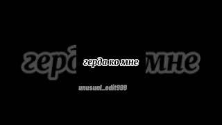 эдит(доберман,чихуахуа)видео шутка не воспринимать всерьез!!!