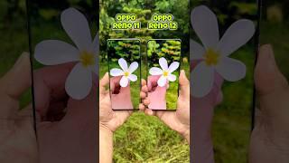 Oppo Reno 11 5g vs Oppo Reno 12 5g Camera Test #opporeno11 #opporeno12 #oppo #shorts