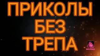 Приколы без трепа 2019