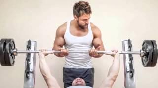 Muscle matrix solution review   Is the Ryan Hughes program work
