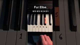 Fur Elise #piano #pianototurial #pianomusic #pianolessons