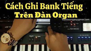 Cách Ghi Bank Tiếng Trên Đàn Organ - Sx700 - Sx900 | Cách Lưu Tiếng Vào Đàn Organ - DỄ HIỂU NHẤT