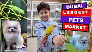 Dubai Biggest Pet Shops | Dubai Largest Pet Market