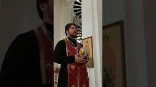 Христос воскресе #батюшка #пасха #православие #рекомендации #молитва #orthodox #весна #христос