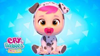 Dotty's Song & MORE Songs | Cry Babies Nursery Rhymes & Kids Songs