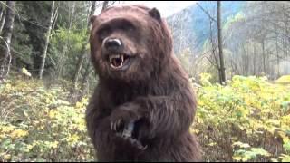 Animatronic Bear Suit By SFX Studio Inc.