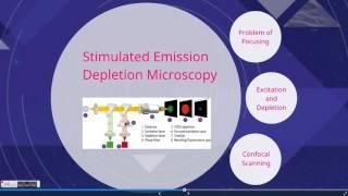 STED Microscopy